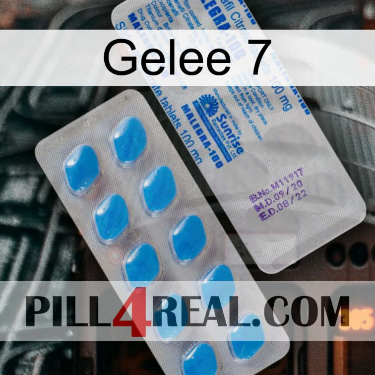 Jelly 7 new15